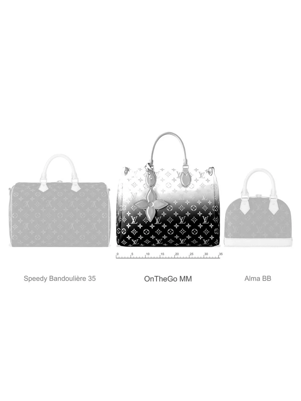 NEW Louis Vuitton On The Go MM LV Snow Collection